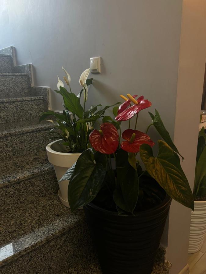Villa Residence Кваріаті Екстер'єр фото